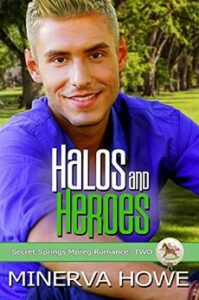 Book Cover: Halos and Heroes