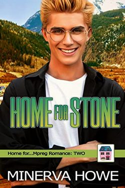 Book Cover: Home for Stone