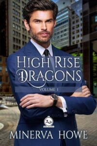 Book Cover: High Rise Dragons